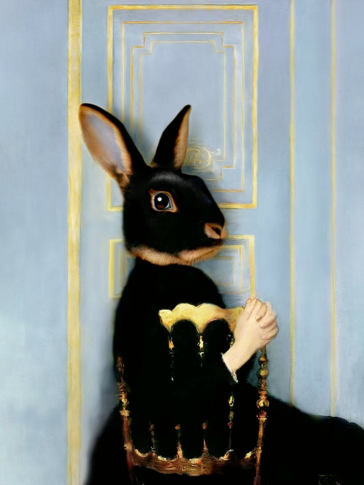 Kira The Rex Rabbit Pet Portraits