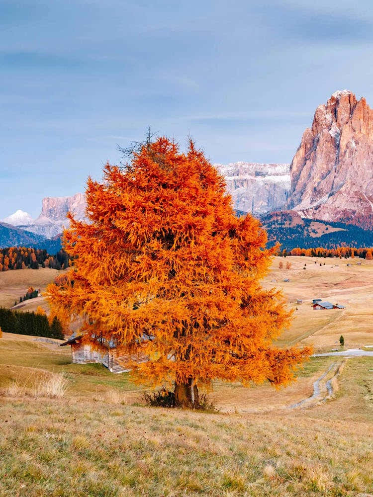 Autumn In The Dolomites 2