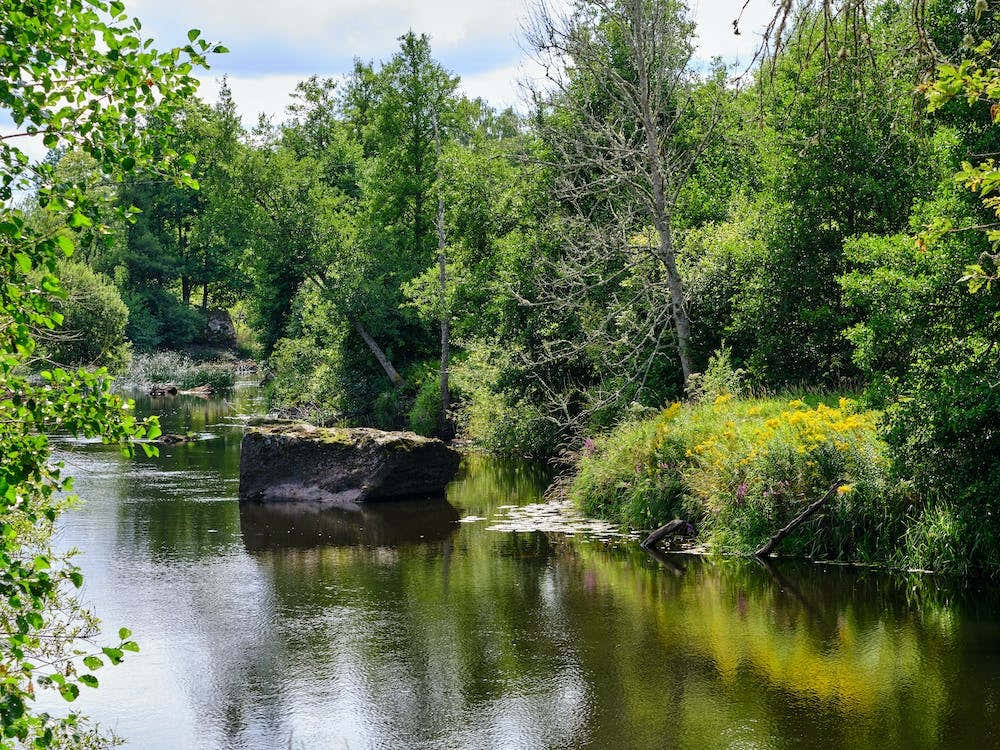 Zweden23 08 21705+Gpl20972