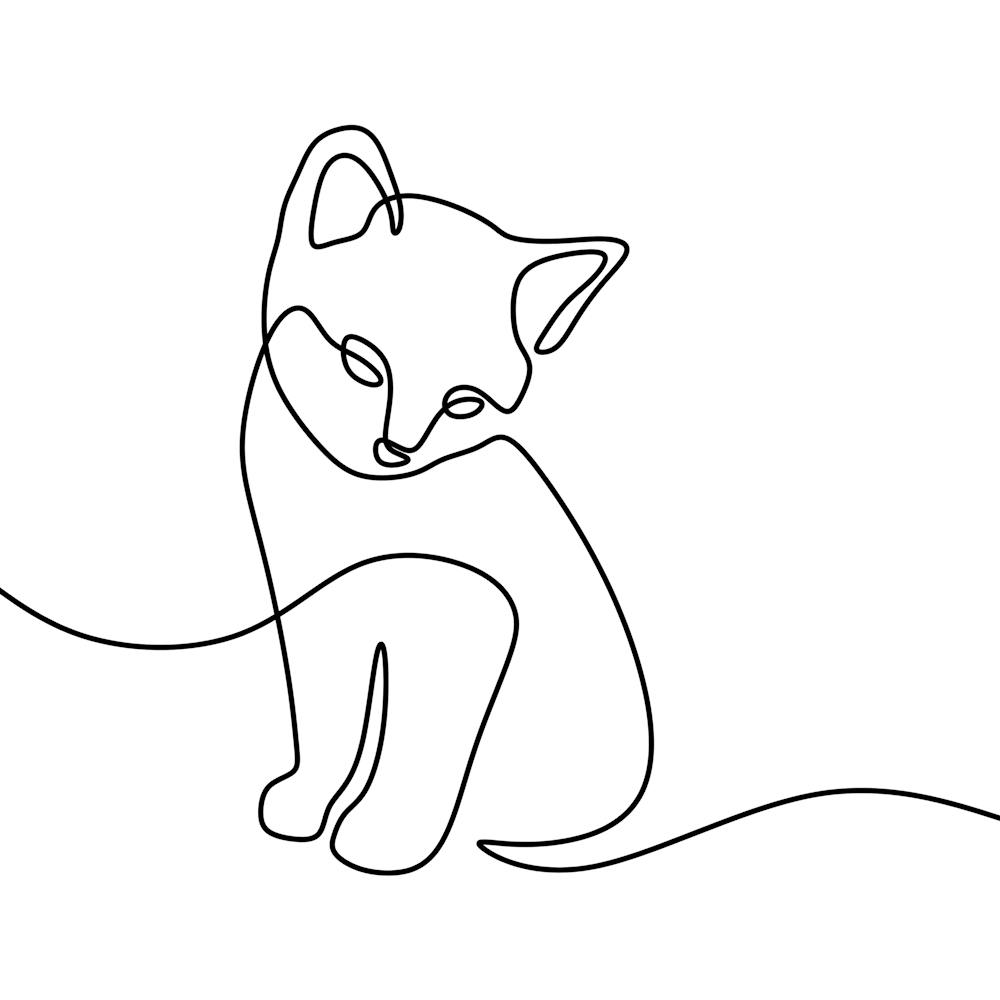 Single line kitten drawing, simple modern line art