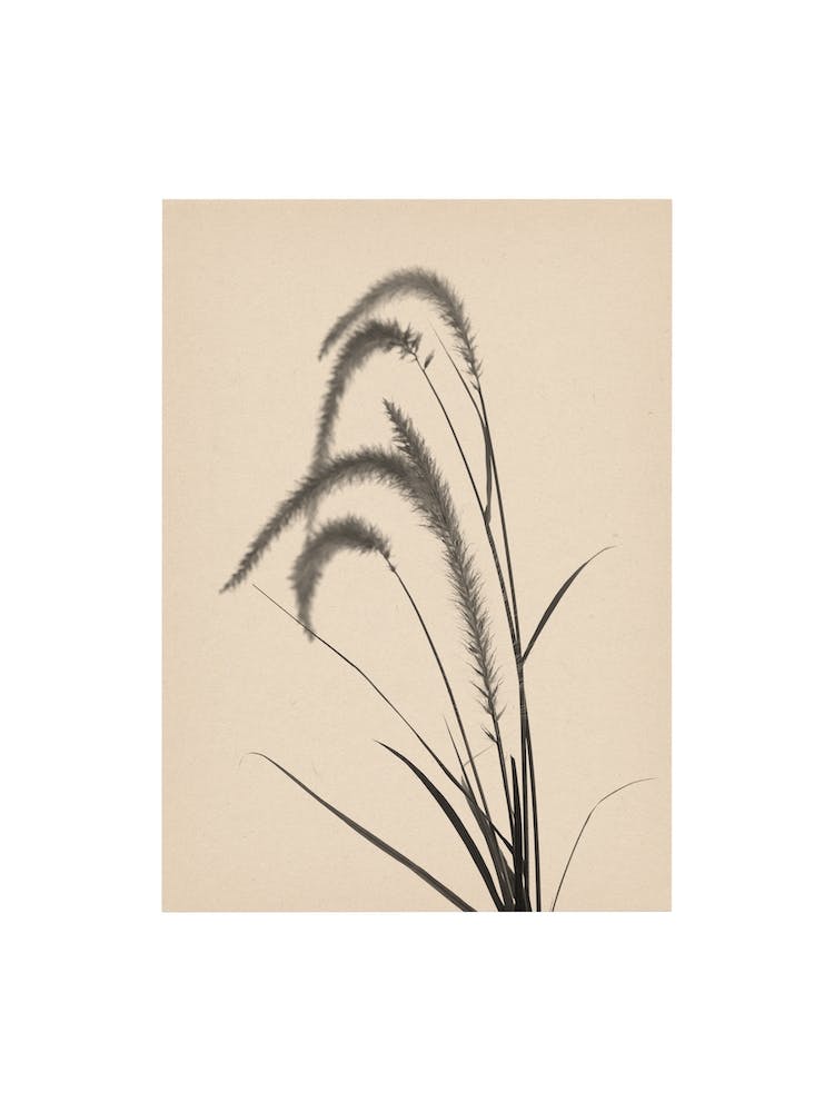 Nature Mix And Match 03