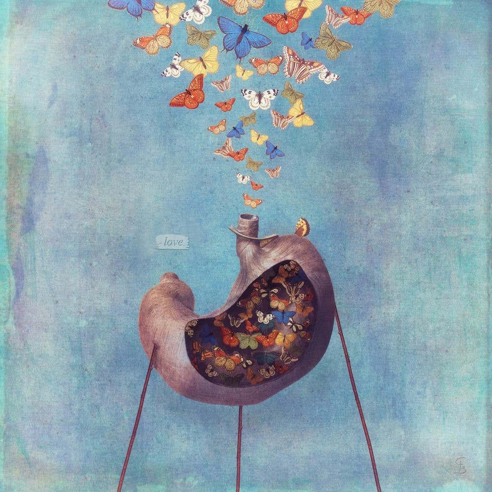 Love - Butterfly in My Stomach