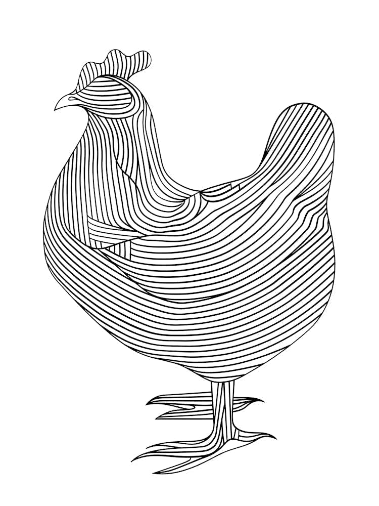 Rooster In Black And White animal lines art