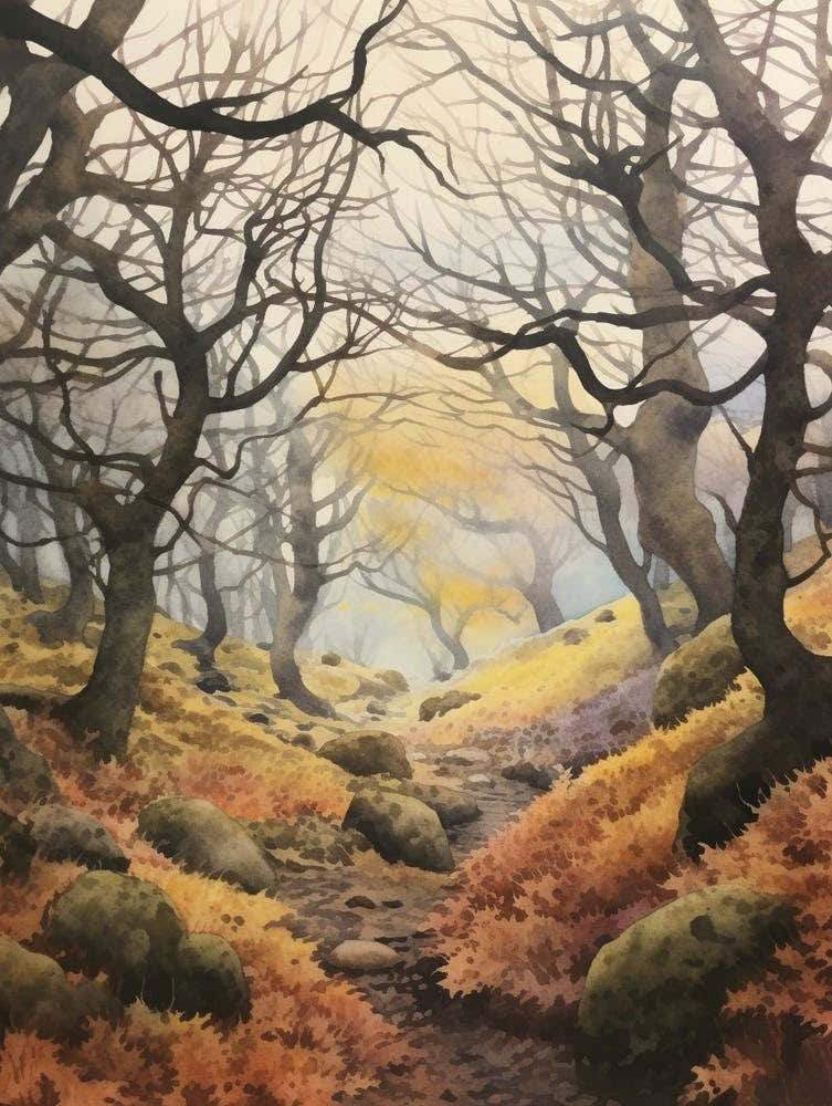 Autumn Forest Landscape Wistmans Wood England