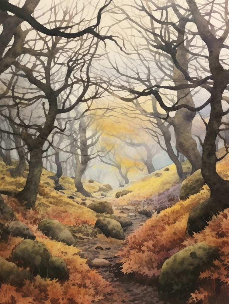 Autumn Forest Landscape Wistmans Wood England