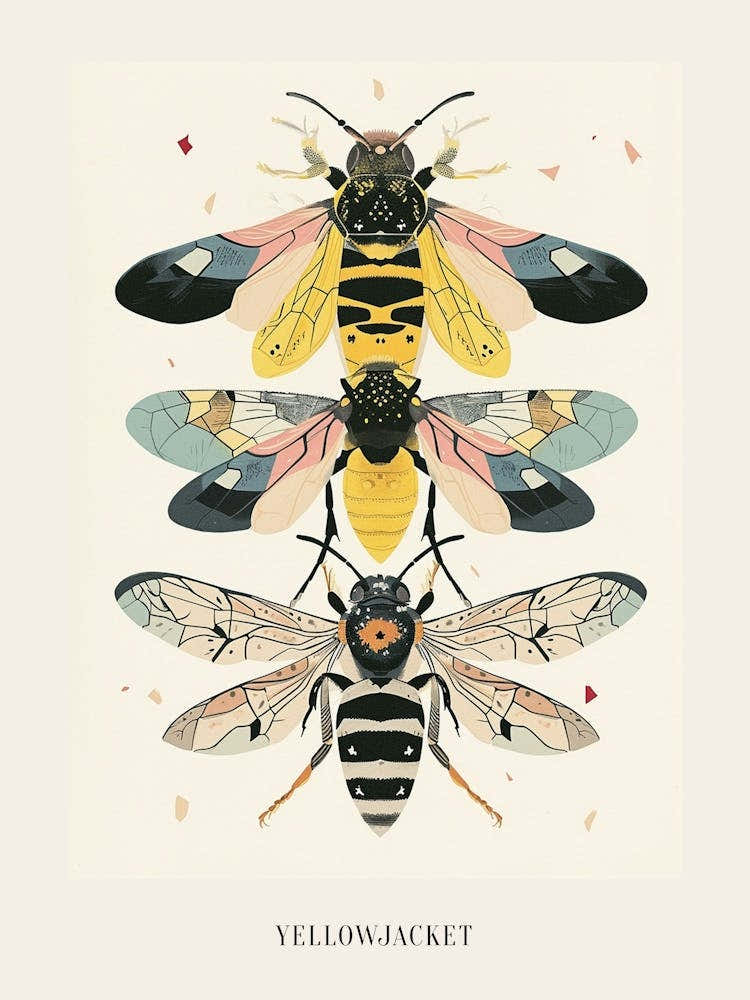 Colourful Insect Illustration Yellowjacket 4 Poster