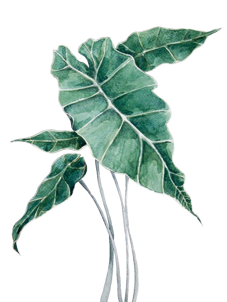 Botanical Leaf Garden In Watercolor