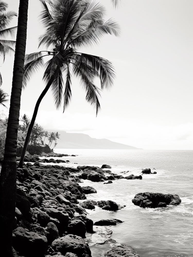 Maui, Black And White Analogue Photograph 2