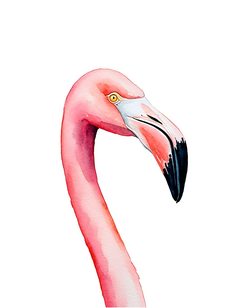 Pink Flamingo