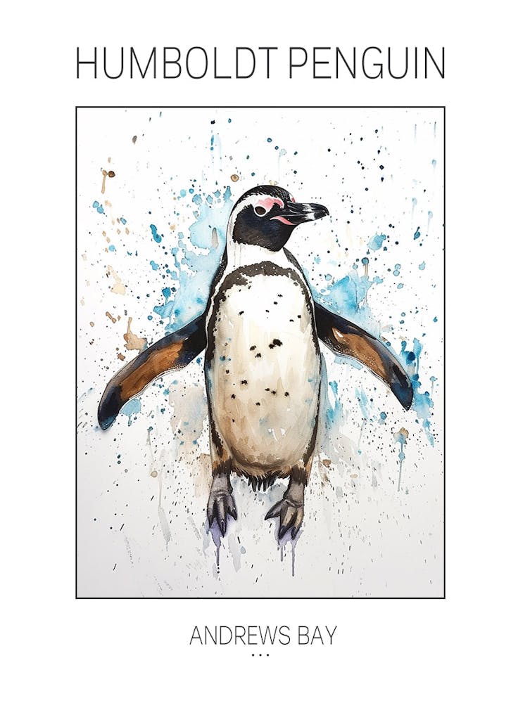 Humboldt Penguin Andrews Bay Watercolour Painting 1 Poster