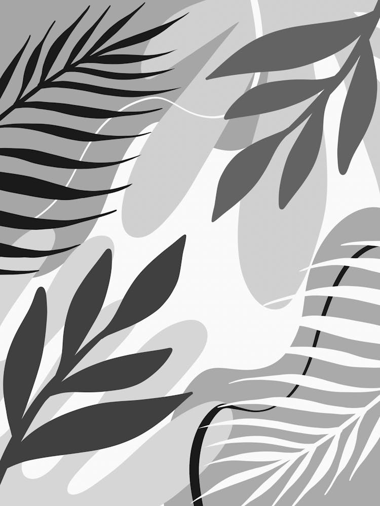 Abstract Black And White Leaves 3