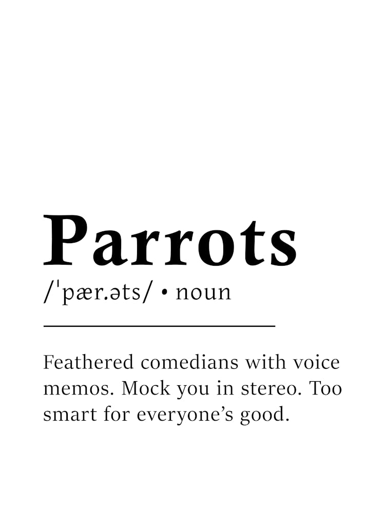 Parrots Definition Poster - Dictionary