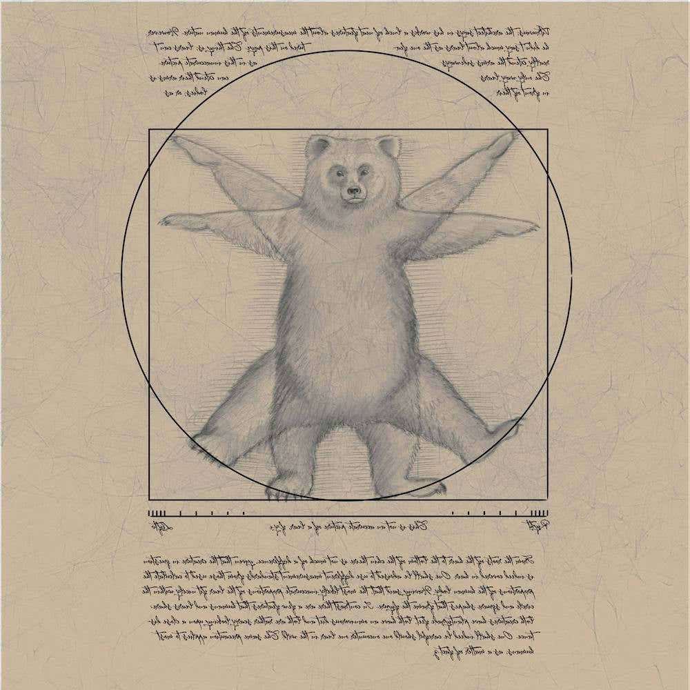 Vitruvian Bear