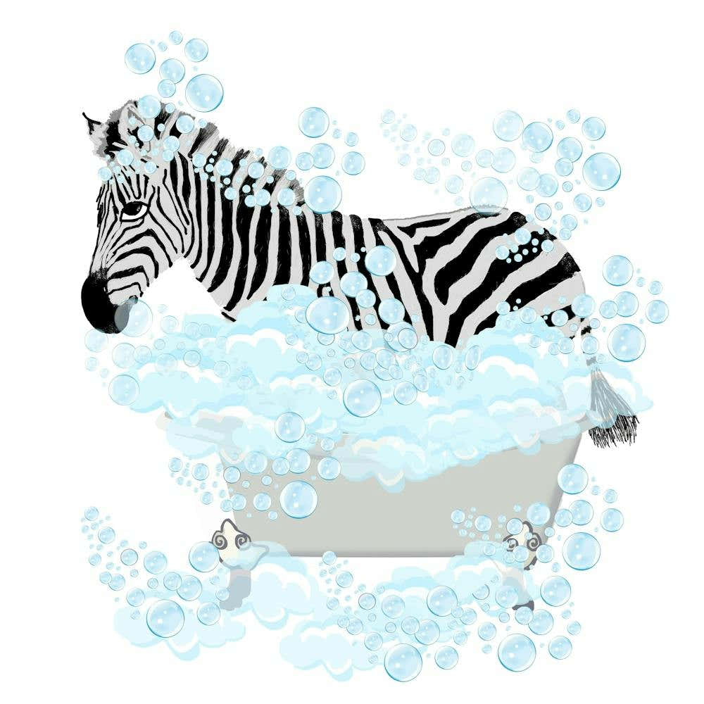 Zebra in the Tub