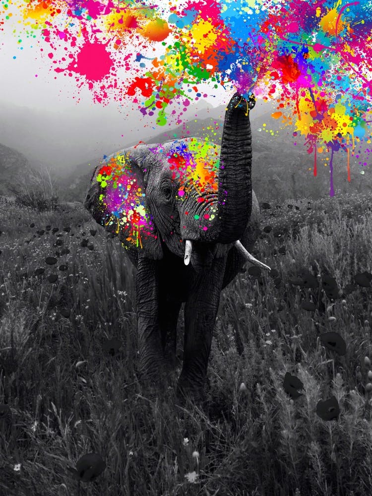 Elephant Playing With Paint Colours 1