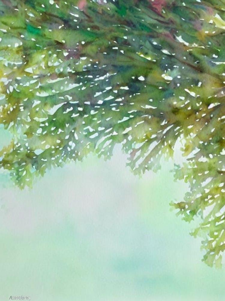 Acropora Tenius Ii Storybook Watercolour