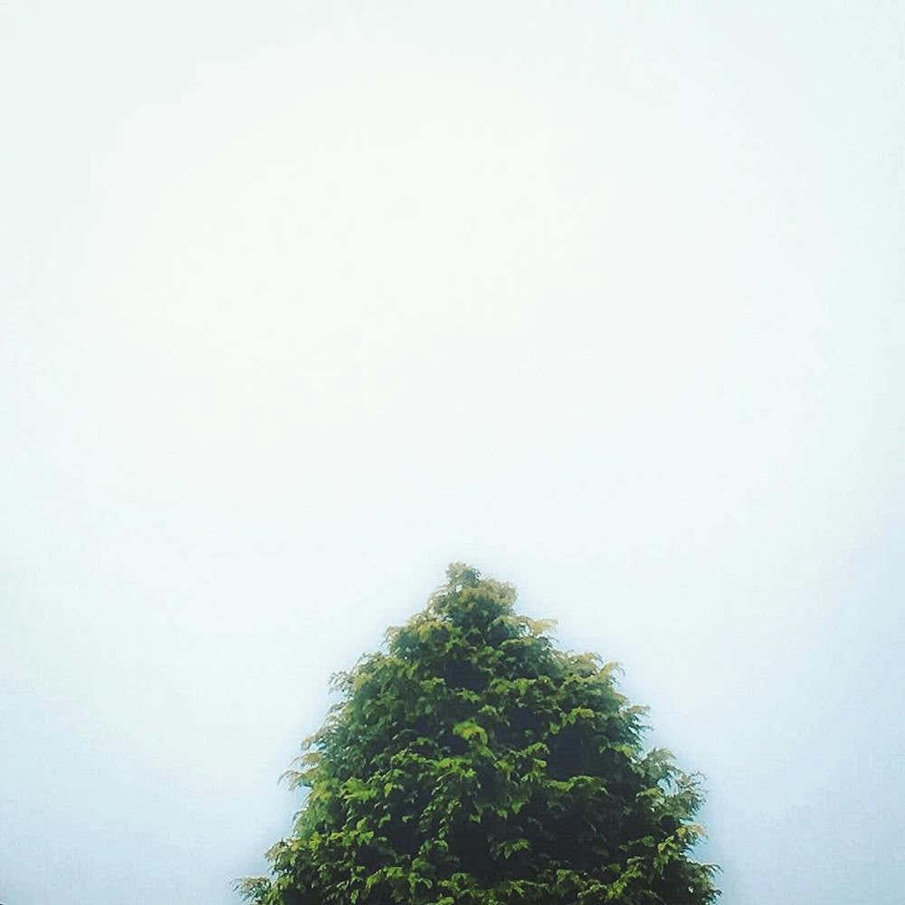 Misty Morning Square