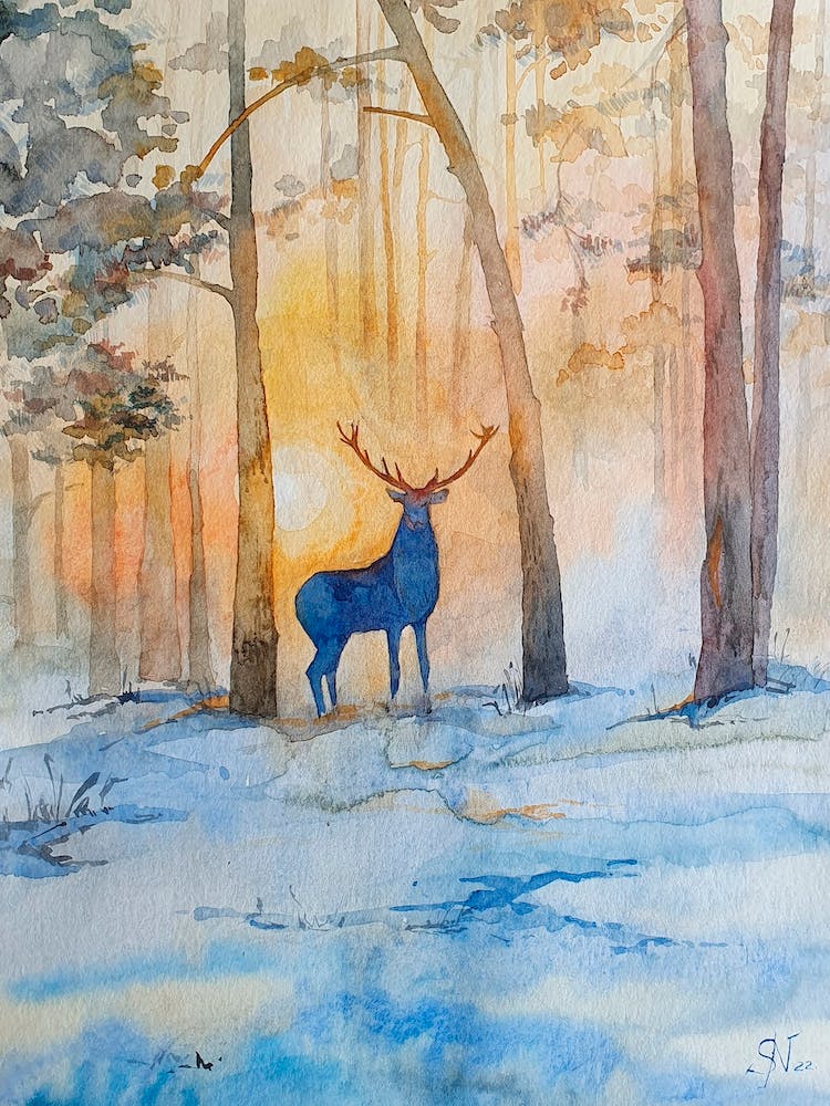 Spirit Of The Forest
