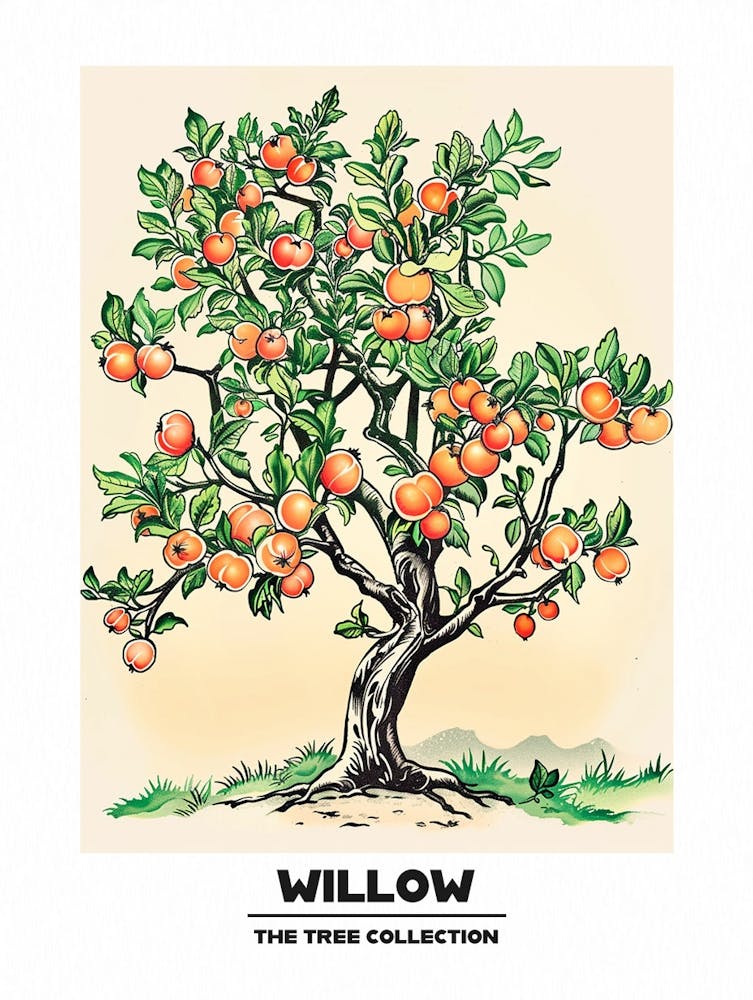 Willow Tree Storybook Illustration 3 Poster