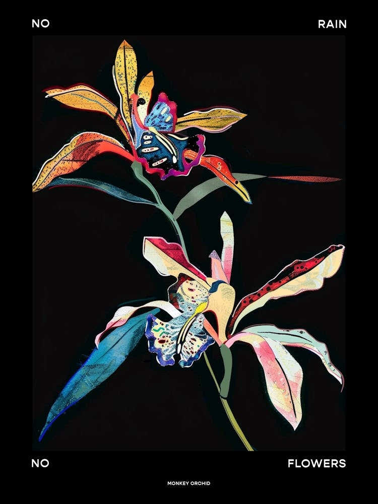 No Rain No Flowers Poster Monkey Orchid 2