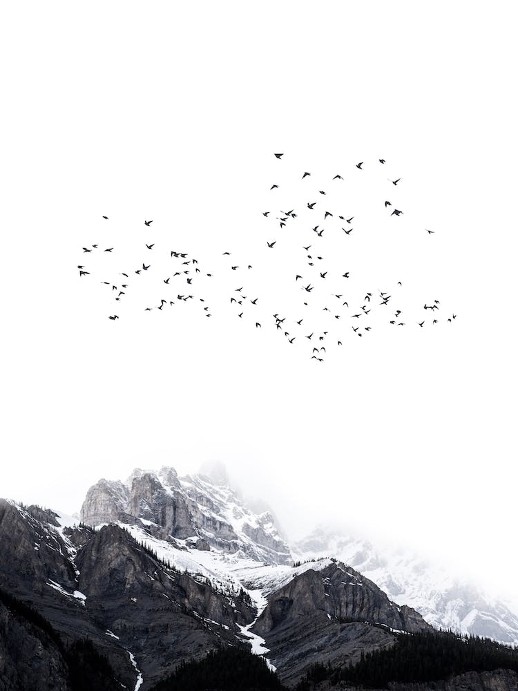 The Mountain