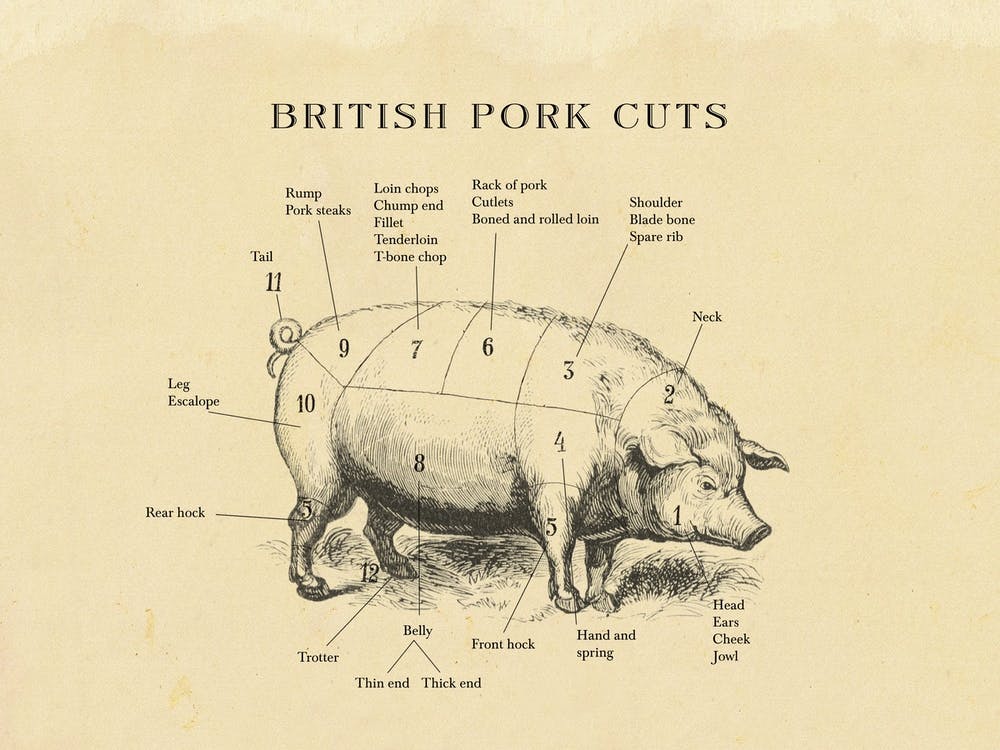 British Pork Cuts Butcher Cuts Chart