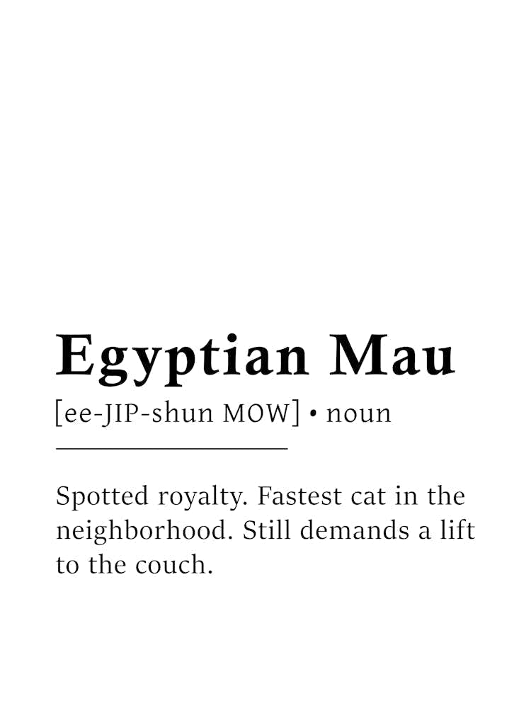 Egyptian Mau Definition Poster - Dictionary