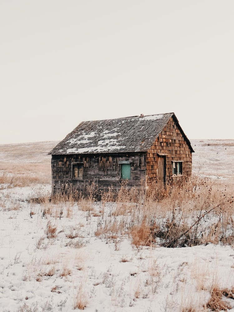Abandoned Cabin In Field