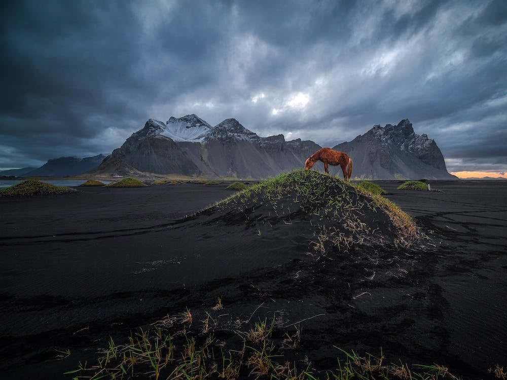 Vestrahorn