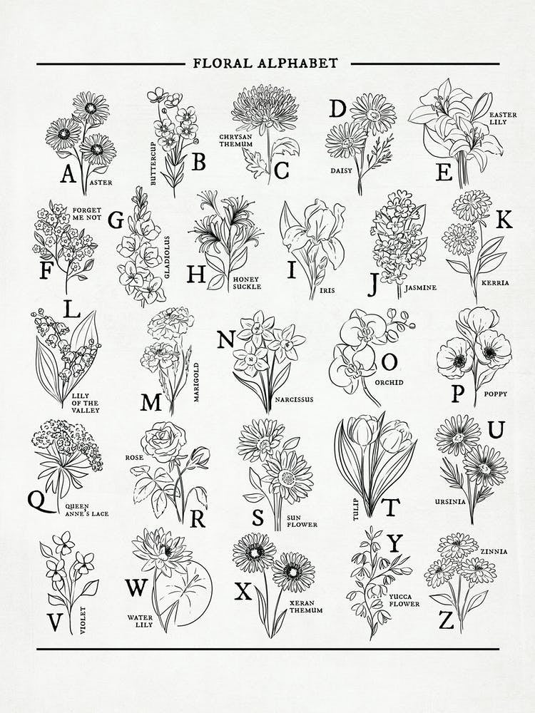 Floral Alphabet Sketched