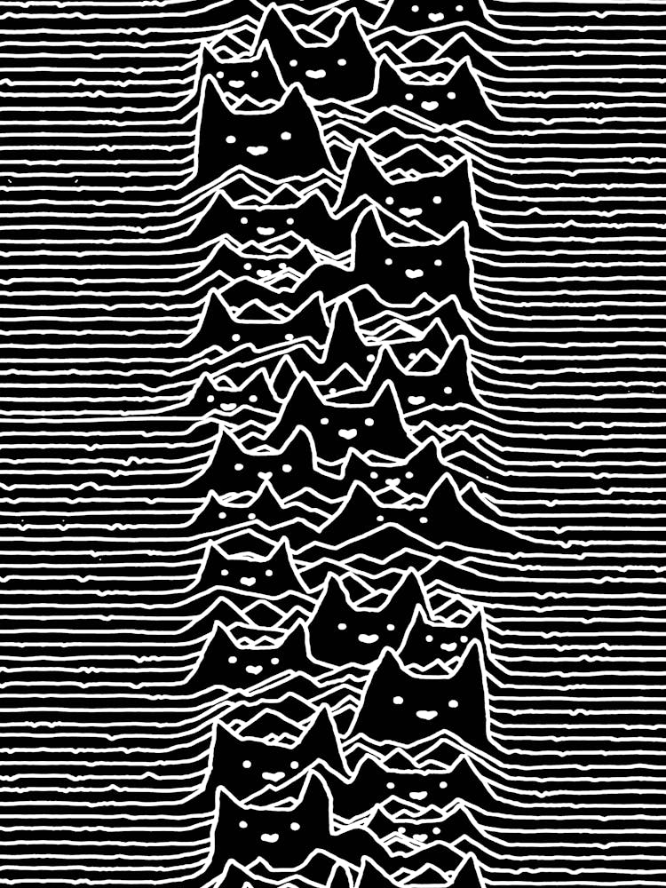 Cats And Waves Joy Division