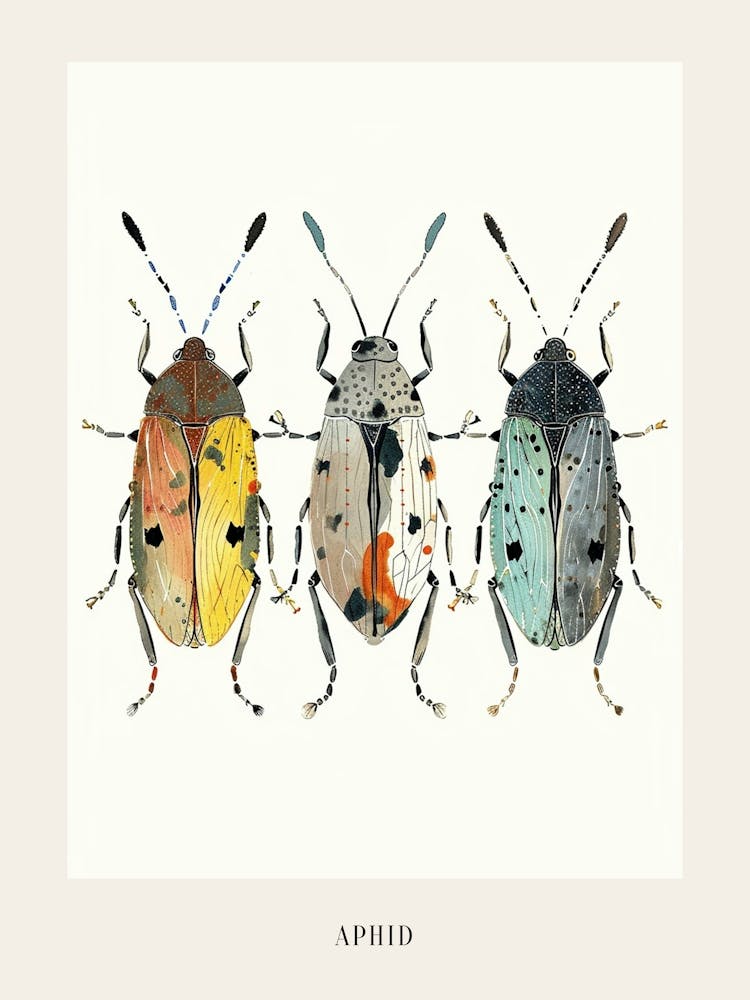 Colourful Insect Illustration Aphid 9 Poster