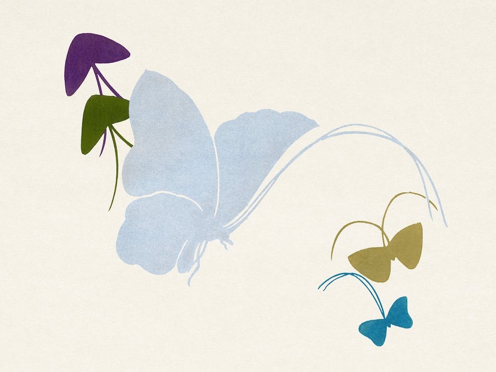 Japanese Butterfly, Kamisaka Sekka (3) 1