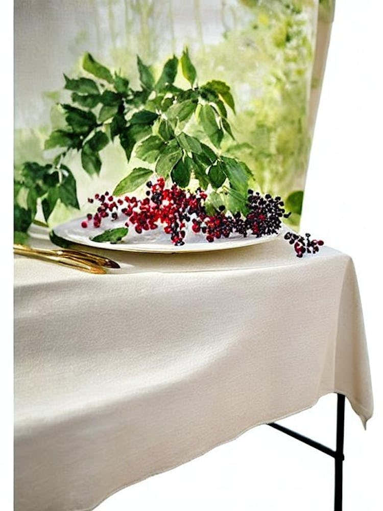 Elderberry Italian Watercolour fruit