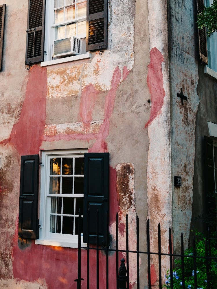 Charleston Pink XXII