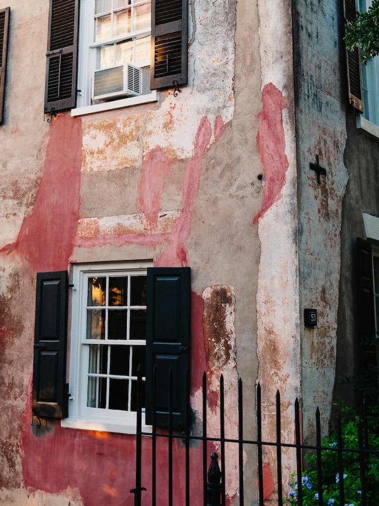 Charleston Pink XXII