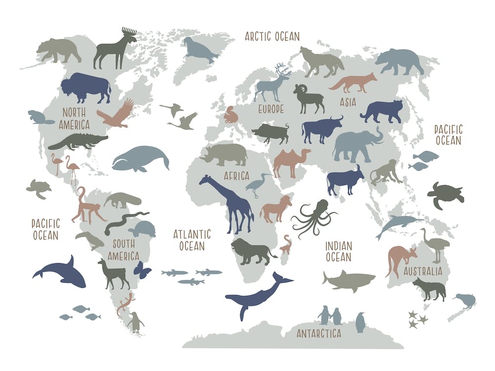 Kids World Map Poster, Boys Room Decor, Nursery Art