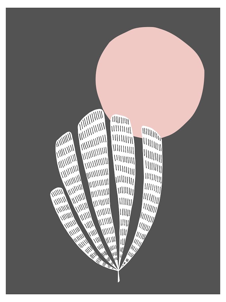 Cactus And Sun