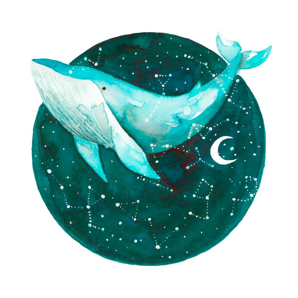 Cosmic Whale 1