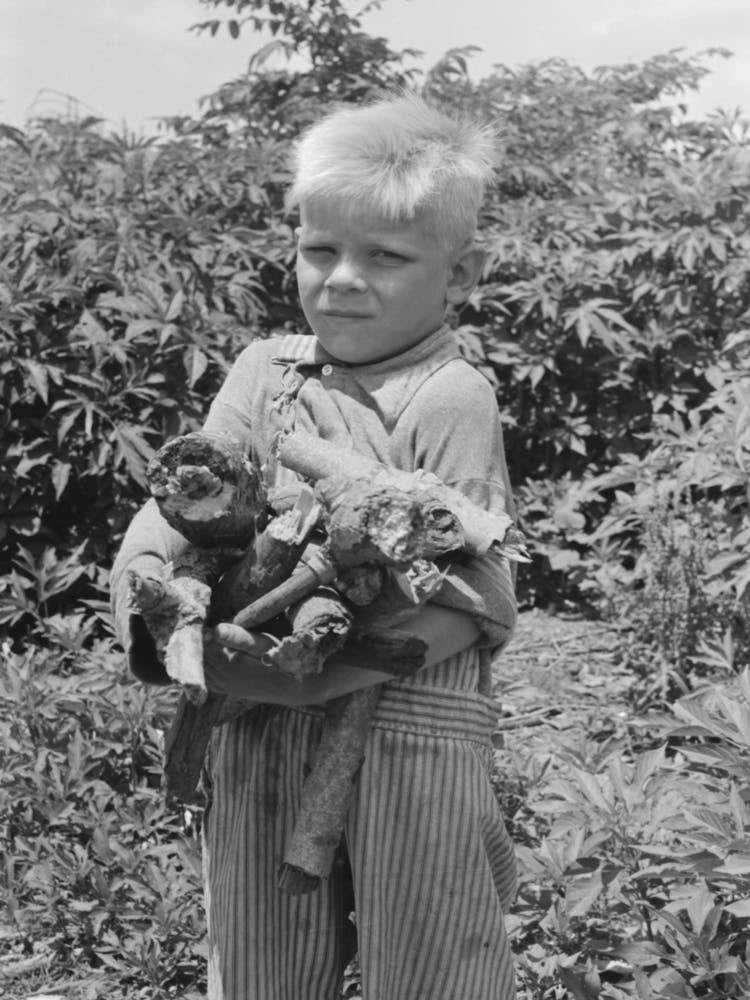 Untitled Photo, Possibly Related To Son Of Day Laborer With Load Of Wood In His Arms, Near Webber Falls, Muskoge