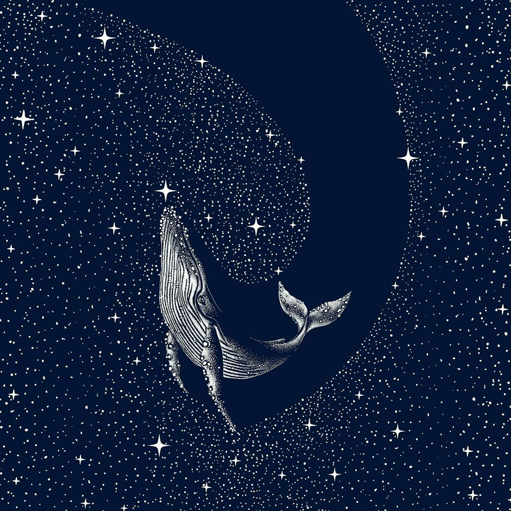 Starry Whale SQUARE