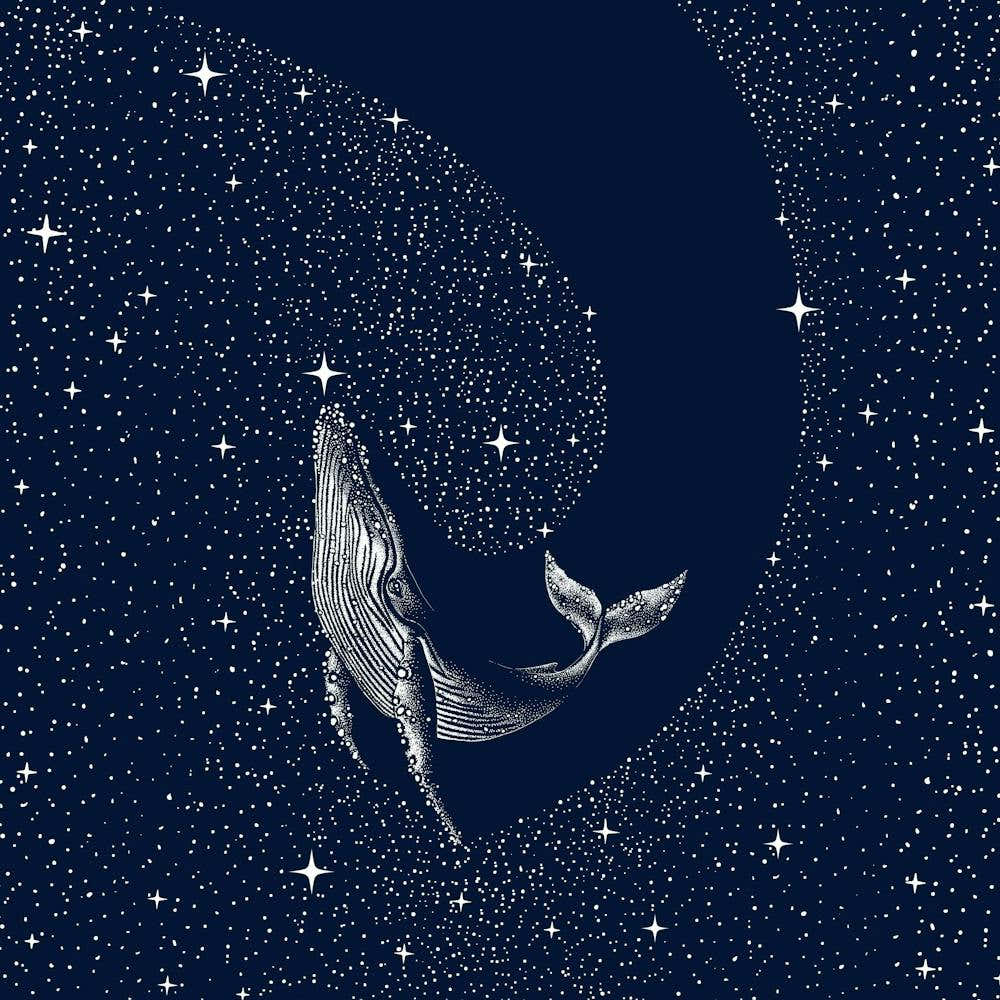 Starry Whale SQUARE