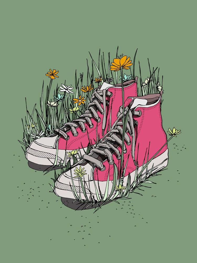 Pink Converses In The Grass