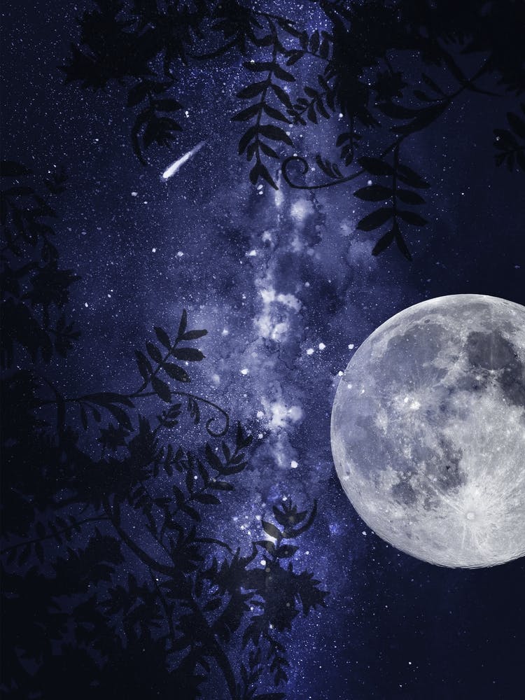 Full Moon In The Sky - Starry Night and Moon #2