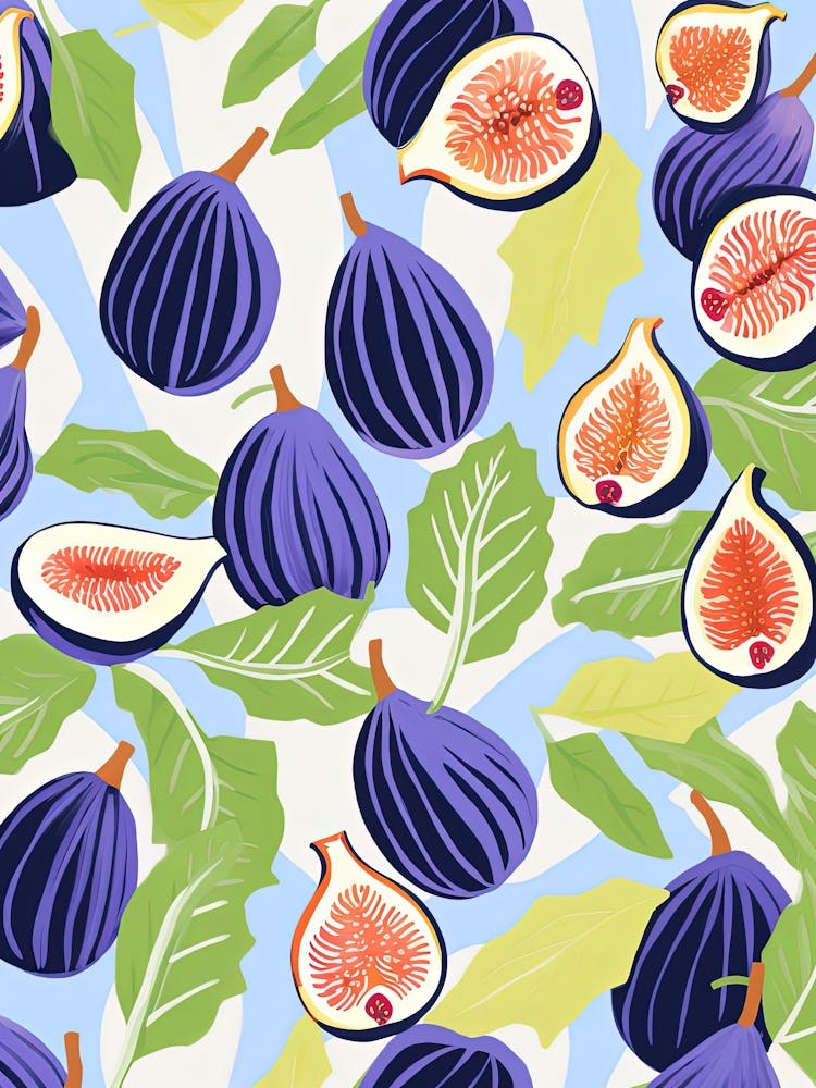 Figs Fruit Summer Illustration 1