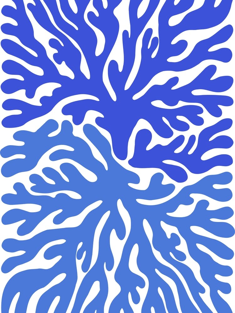 Blue Coral Reef Ocean Collection Boho