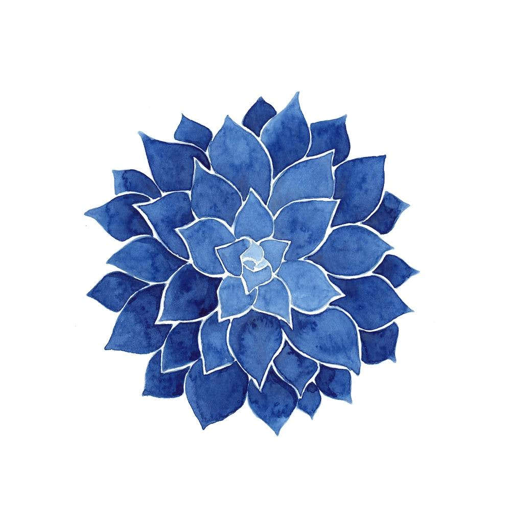 Indigo Succulent Square