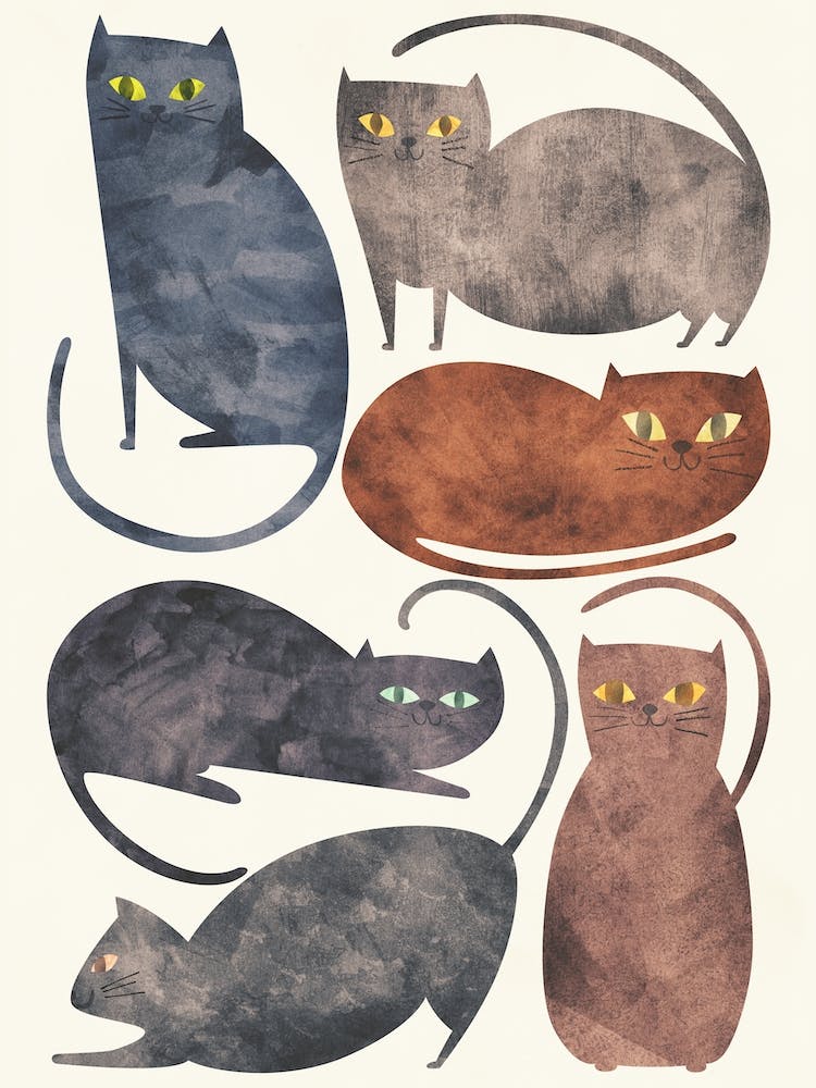 Cats in
