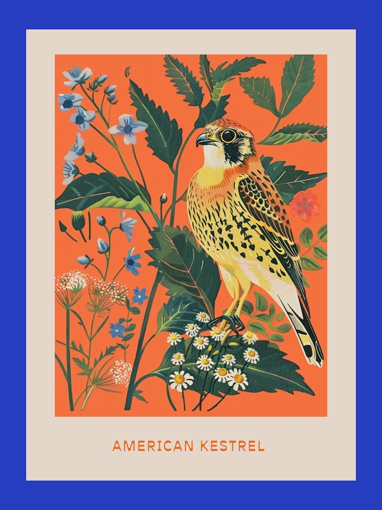 Spring Birds Poster American Kestrel 2