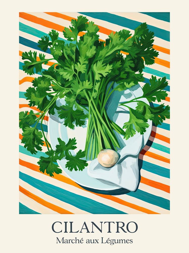 Marche Aux Legumes Cilantro Summer Illustration 11